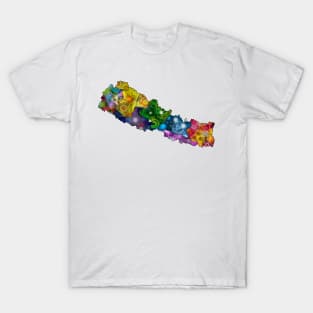 Spirograph Patterned Nepal Administrative Zones Map T-Shirt